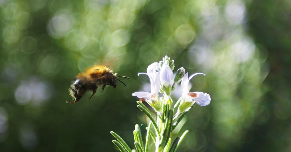 Could This Player’s Transfer Rumor Change the Game for Your Favorite Team?