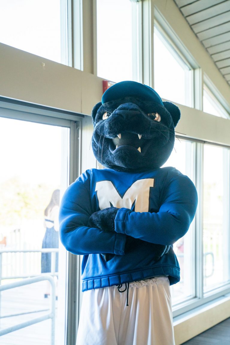 A person in a panther mascot costume with arms crossed, used to illustrate the NFL Week 1 2025 game-day atmosphere and team identity.
