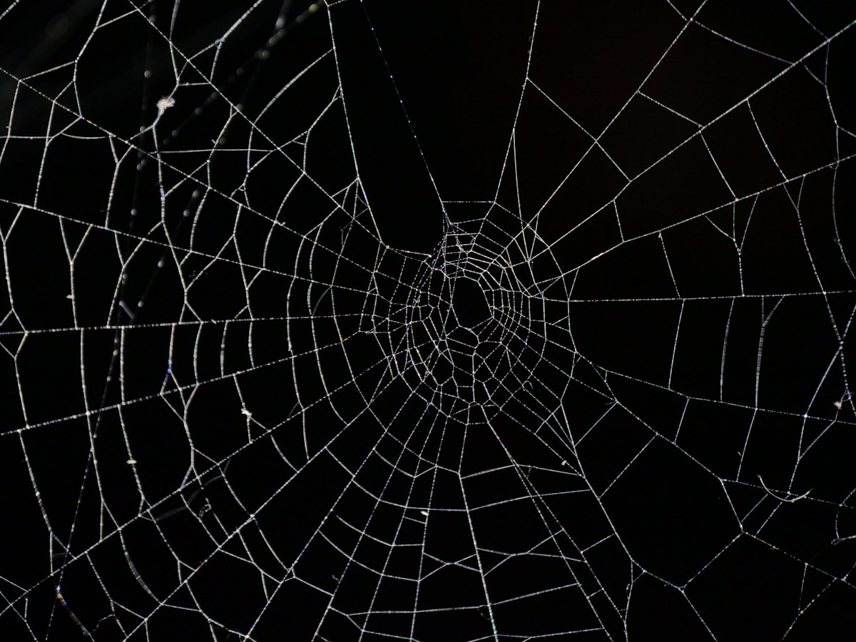 Spider web close-up - World Cup possession trap tactical capture