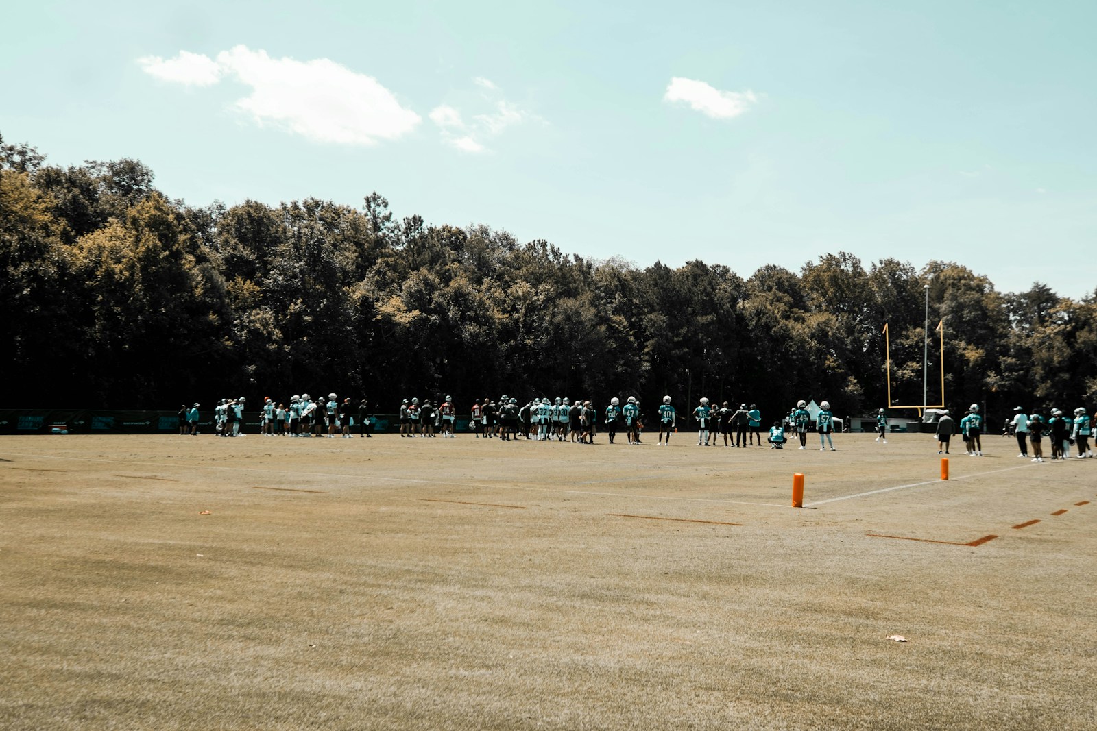 Football team training on field - NFL joint practices 2024 predictions revisited