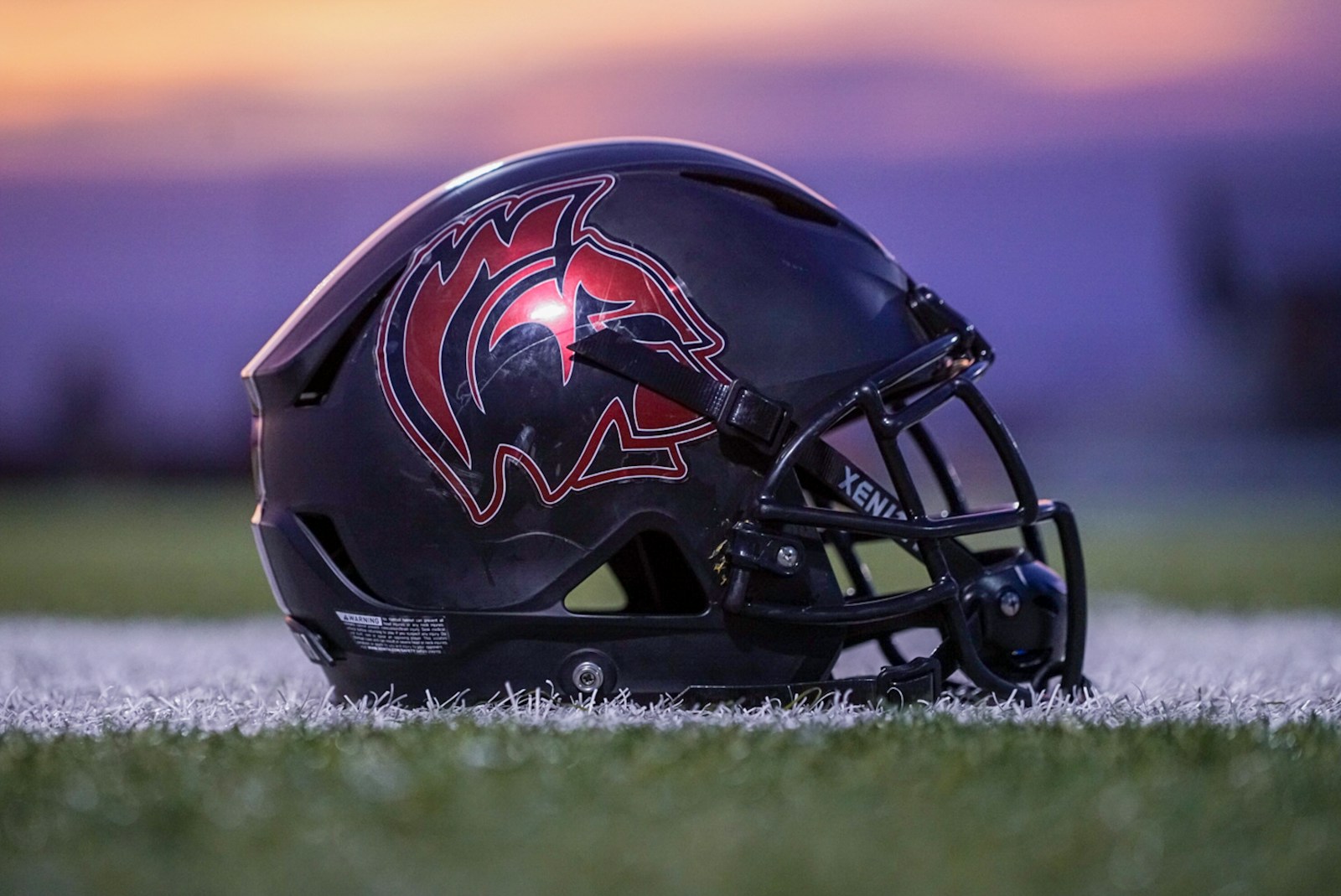 NFL football helmet on grass field - 2025 NFL preseason snap counts